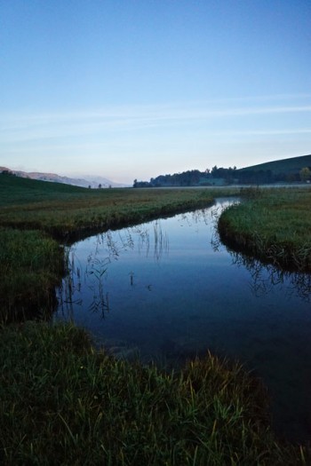 ruhiger Fluss mit glatter Oberfläche am Morgen, eingebettet in mossgrünes Gras; im Hintergrund ein Berg. Der Fluss mündet in einen See; im Wasser spiegeln sich die Gräser